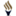The Light of the World Church (La Luz del Mundo) logo