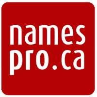 ShipFastNow.com logo