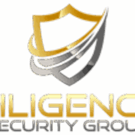 Diligence Security Group logo