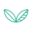 Bouldin Creek Cafe logo