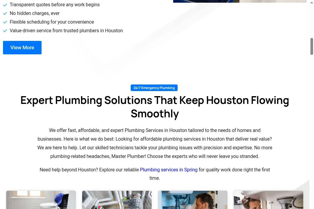 Master Plumber Service cover