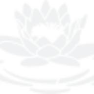 Rejuva Haven Medi Spa logo