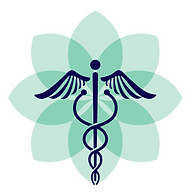 Superior Medical Spa and Wellness Center logo