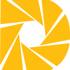 Diverse Power logo