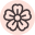 Charlotte Medical Aesthetics logo