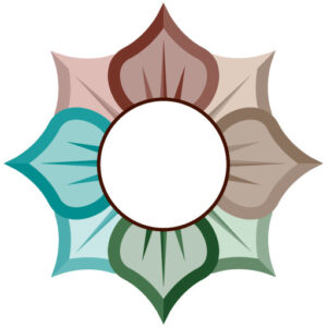 andersonvillemedspa-com logo
