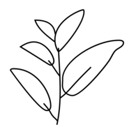 Planted Practice logo