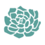 bellagraceaesthetics-com logo