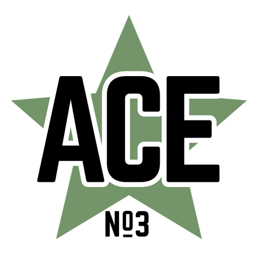 ACE No. 3 logo