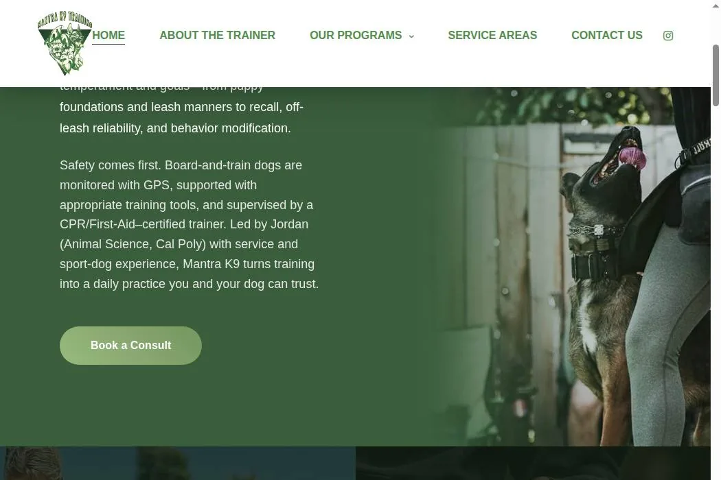 Mantra K9 Training cover