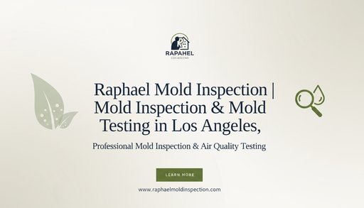 Raphael Mold Inspection logo