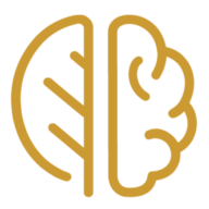 The Brain Mind Healing Center logo