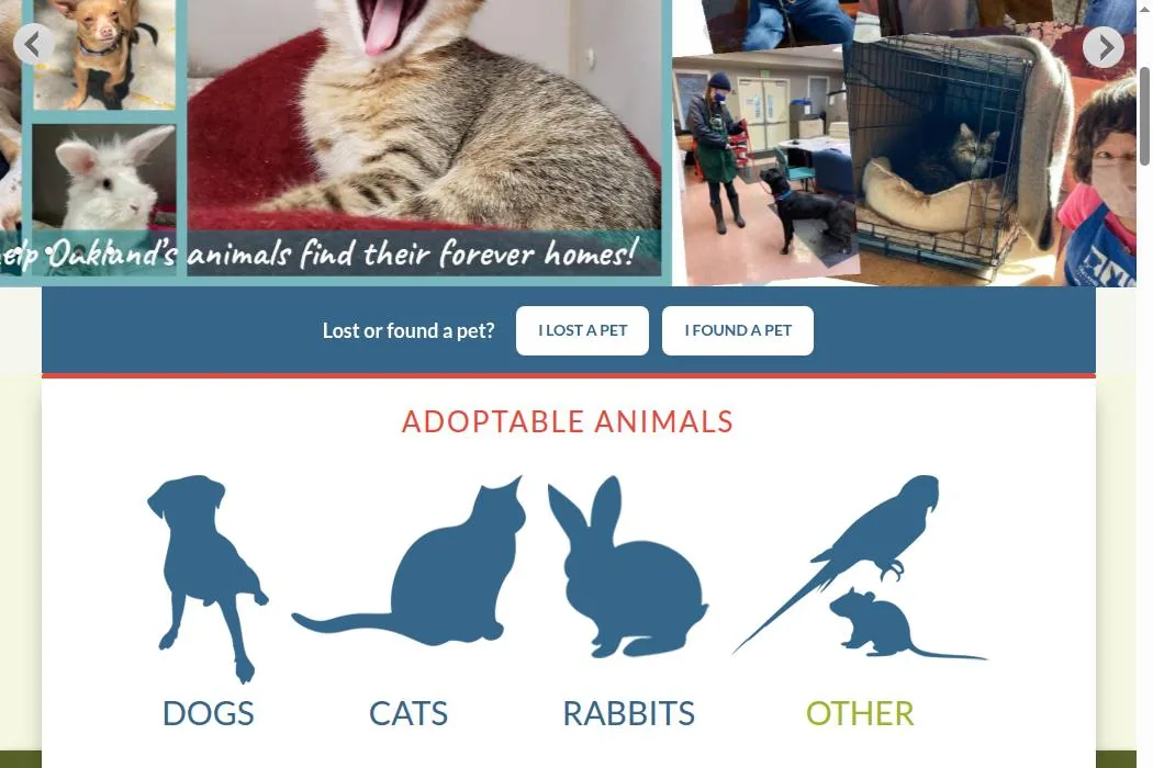 Oakland Animal Services cover