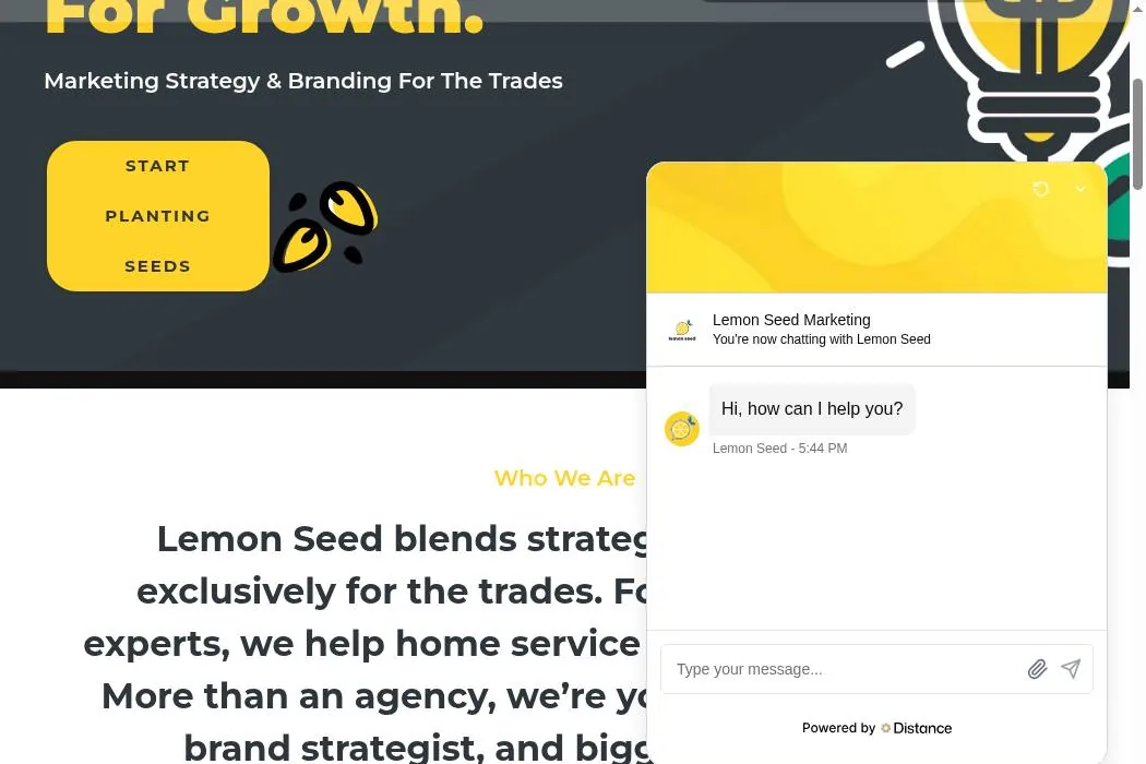 Lemon Seed Marketing cover