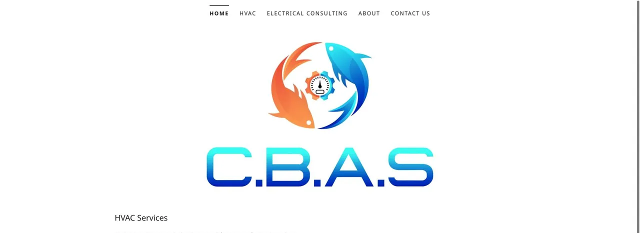 C.B.A.S LLC cover