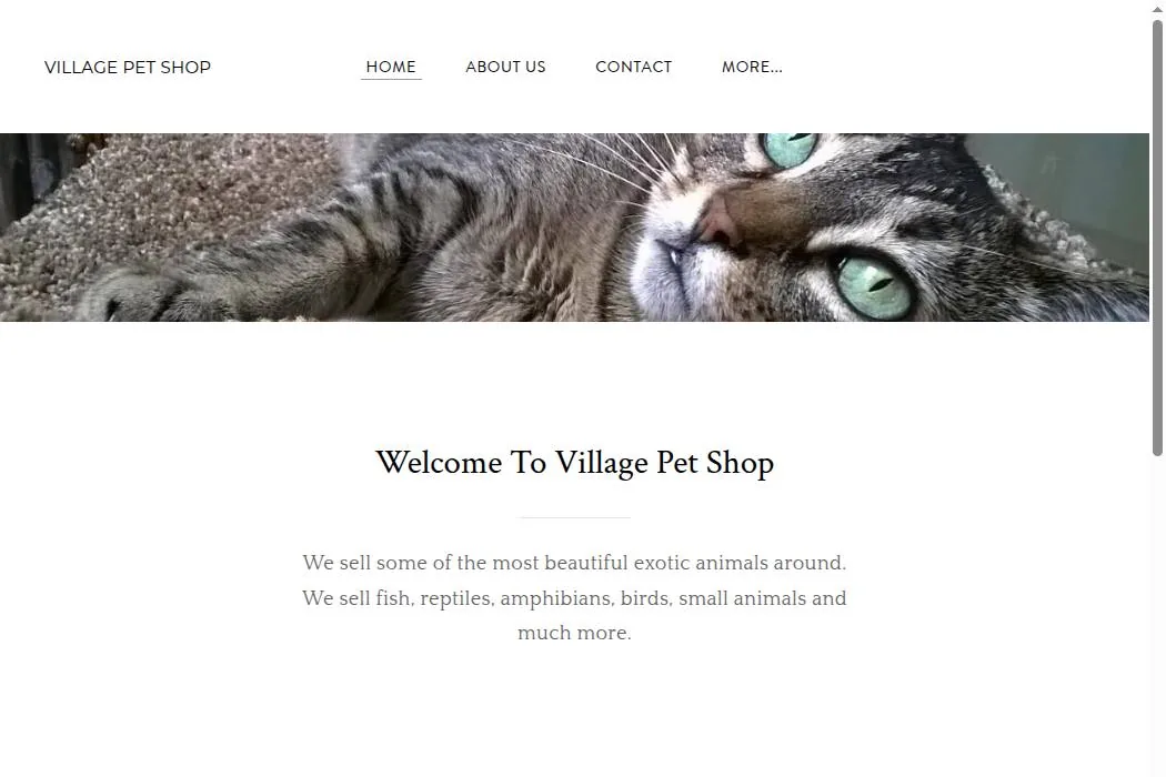 Village Pet Shop cover