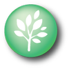 Trigg Street Church logo