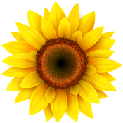 Ali's Organics & Garden Supply logo