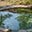 chinatihotsprings-net logo