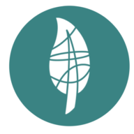 Vine Branches Lutheran Church & Childcare logo