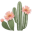Desert Bloom Massage logo