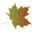 Ashe High Country Realty, Inc. logo