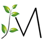 mintspasalon-com logo