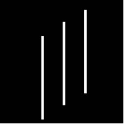 nextlevelaesthetics-com logo