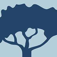 Stone House Presbyterian Church logo