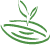 Little Seed Kitchen & Bakery logo