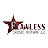 Flawless Diesel Repair LLC logo