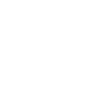 Remedy Aesthetics & Wellness logo
