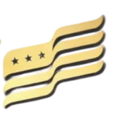 American Nail House logo