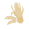 Foothills Milling Brand Concept Picker logo