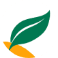 Rohde's logo