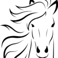C and C Training Stables logo