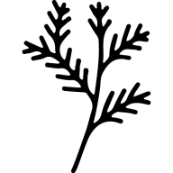 Balsam Mountain Preserve logo