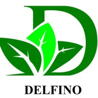 Delfino Maintenance & Landscaping Inc. logo