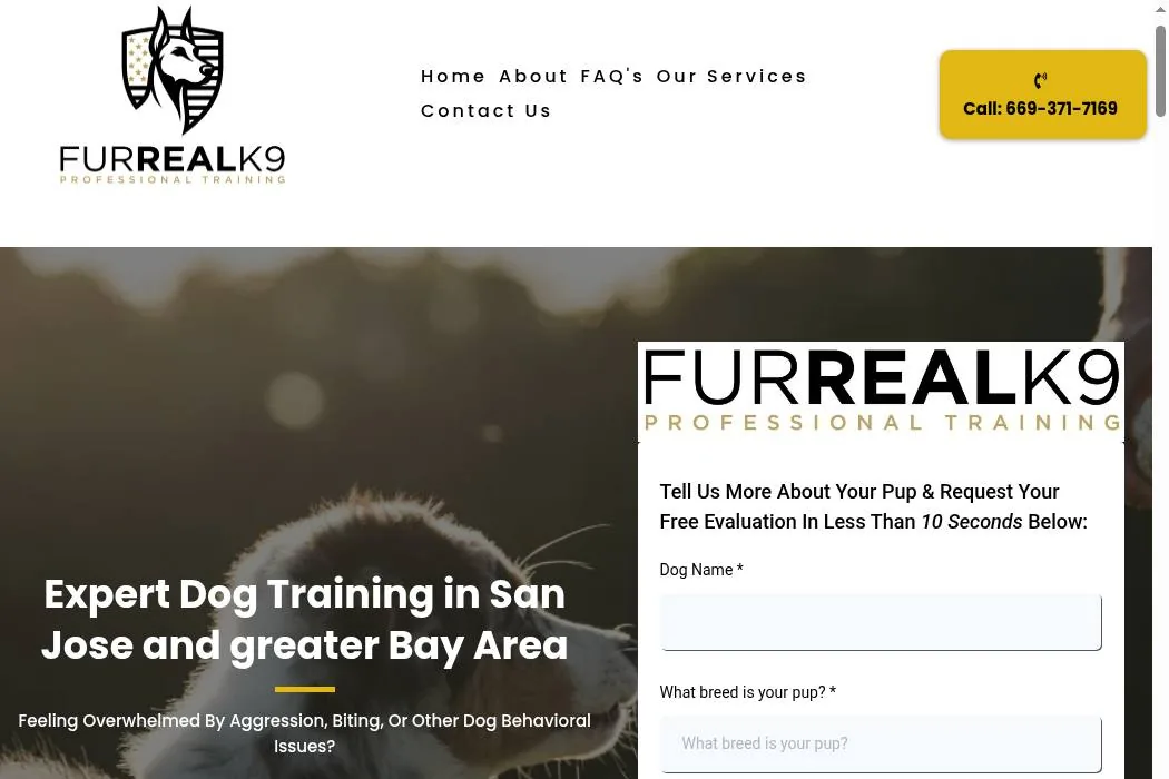 Fur Real K9 cover