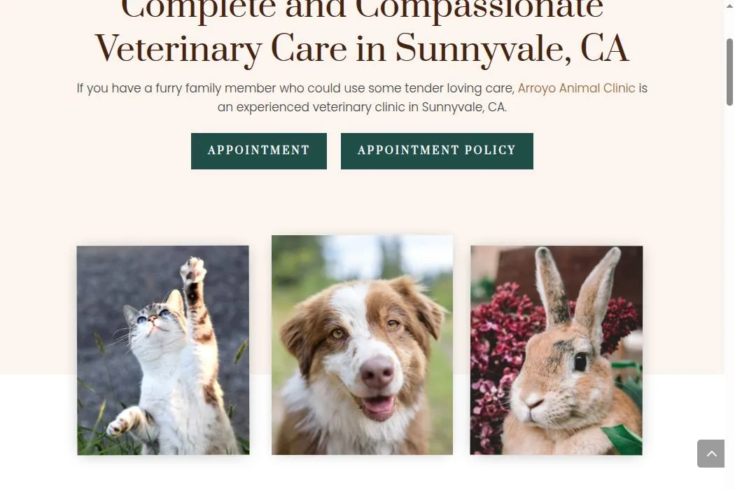 Arroyo Animal Clinic cover