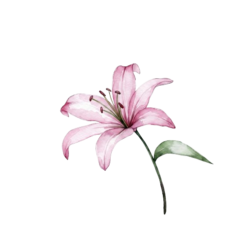 Blush 'N Beauty logo