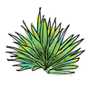 La Condesa Austin logo
