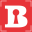 Boyer RE Group logo