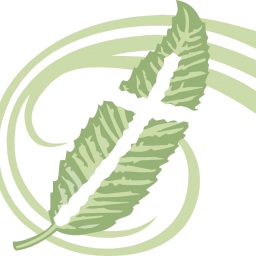 Chestnut Grove Baptist Church logo