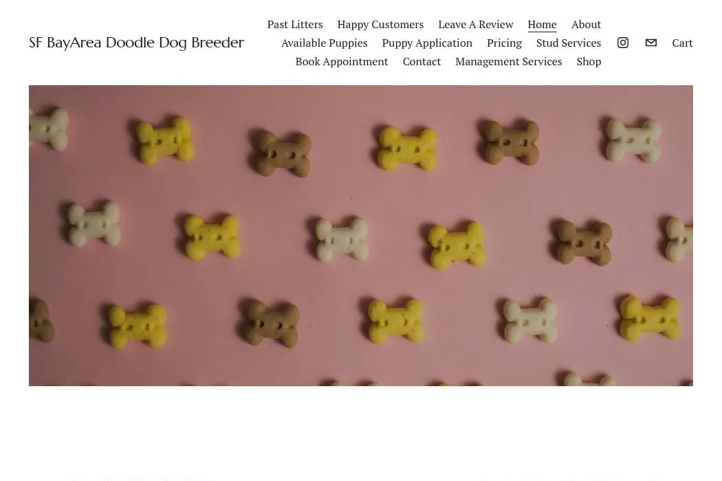 PAWFECTDOODLES cover