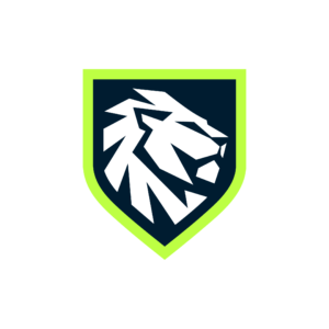 RISE Service Company logo
