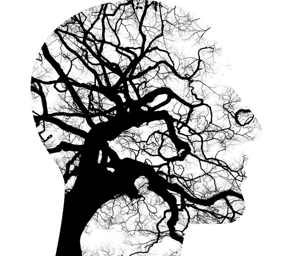 Counseling into Wellness logo