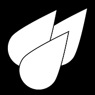 LLUVIAS DE GRACIA VIRGINIA logo