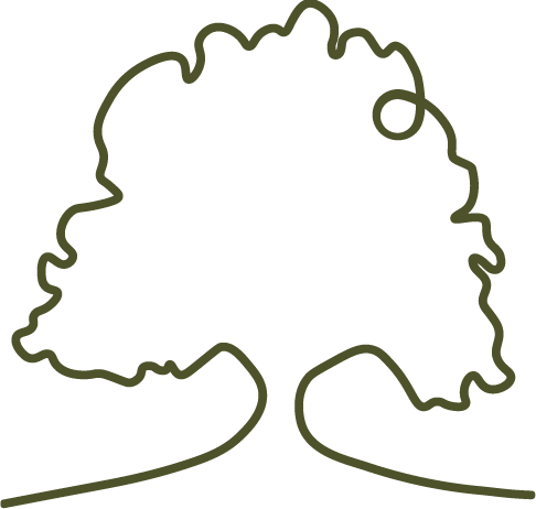 Sycamore Presbyterian Church logo