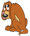 Nobody's Perfekt Dogs and Cats logo